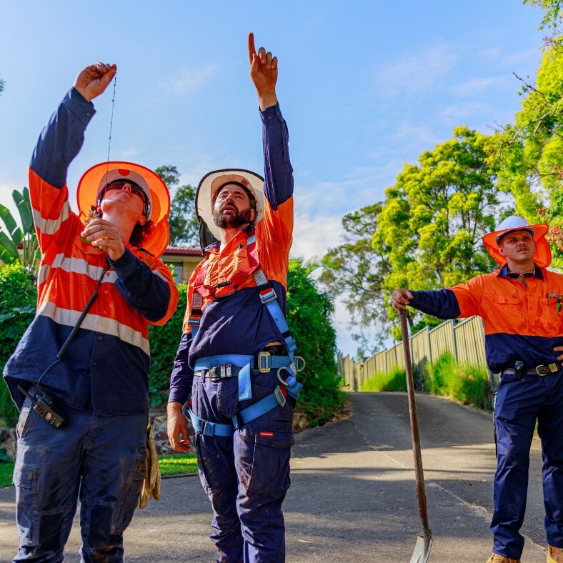 485168801_2597670417095925_8259042342892822020_n